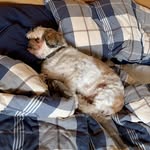Walter Friedman - @walterfriedman1 - Instagram