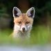 Walter Fuchs - Facebook