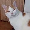 Walter Fuchs - @walter.fuchs7 - TikTok