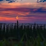 Walter Fuchs - @walterfuchs212 - Instagram