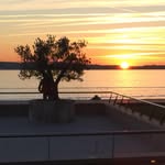 Walter Fuchs - @walter8618 - Instagram