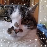 Walter Fuchs - @walter.fuchs.7315 - Instagram