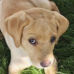 Walter P Sherman - @walter_p_sherman - Instagram