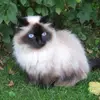 Walter Furrer695 - @walterfurrer2 - TikTok