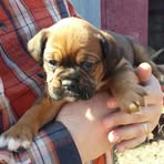 Walter Gale - Facebook