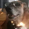 Walter Galvan - @walter.galvan5 - TikTok