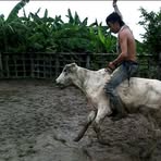 Jhon Walter Gamba Buitrago - Facebook
