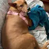 waltergamble895 - @waltergamble895 - TikTok