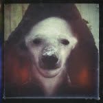 @waltergamble - @waltgamble - Instagram