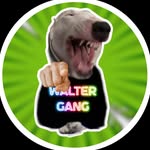 𝗪𝗮𝗹𝘁𝗲𝗿 𝗚𝗮𝗻𝗴🎀 - @walter__gang_ - Instagram