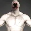 bolfnakota1 - @waltergang726373625737 - TikTok