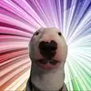 Hey dude - @waltergang2.00 - TikTok