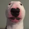 ᗯᗩᒪTᗴᖇ ᘜᗩᑎᘜ ▼・ᴥ・▼ - @walter_gang_offical - TikTok