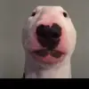 WALTER GANG - @walter_gang313 - TikTok