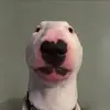Walter gang - @walter_gang4life5124 - TikTok