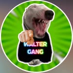 WalterGang🎀 - @walter__gang._ - Instagram