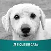 Walter Ganso - @walterganso - TikTok