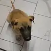 Walter gatica - @walter.gatica45 - TikTok
