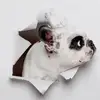 waltergeoffrey - @waltergeoffrey - TikTok