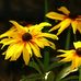 Walter Geist - Facebook