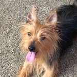 Walter Gentry - @wallie_bear_06 - Instagram