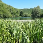 Gerhard Walter - @walter_gerhard_dettingen - Instagram