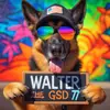 Walter The German Shepherd - @walterthegsd77 - TikTok