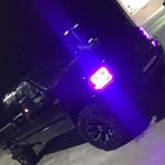 Walter - @waltergibbs - Instagram