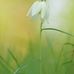Walter Gulgowski - Facebook