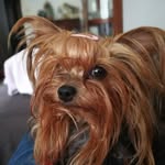 Walter Goetze  (Lola) - @waltergoetze - Instagram
