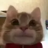 WalterGoodenoughWhite - @waltergoodenoughw - TikTok
