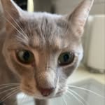 Vadik Walter Goodrich - @vadik_goodrich_2004 - Instagram