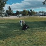 Walter & Gossamer - @walterandgoss - Instagram