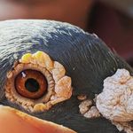Walter Goss - @goss.walter - Instagram