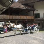 Walter Gossweiler - @gossweilerwalter - Instagram