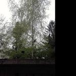 @walter_gregory - Instagram