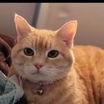 @walter_gregory_ - Instagram