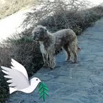 Walter Hafner - @pflumpfl - Instagram