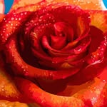 Walter Hafner - @walter.hafner.75 - Instagram
