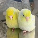 Walter & Winstion Haley - @walter_and_winstion.haley - Instagram