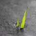 Walter Haley - Facebook
