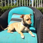 Walter - @walter_haley - Instagram
