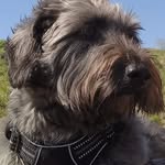 @walter.handler1949 - Instagram