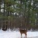 Walter Hand - Facebook