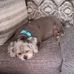 Walter Hardesty - Facebook