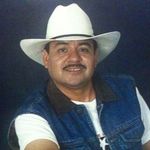 walter - @walterharding_1969 - Instagram