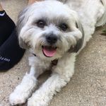 walter hardy - @walter.hardy - Instagram