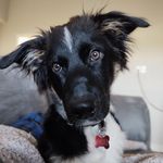 Walter Hardy - @__waltersworld__ - Instagram