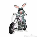Harley Walter - @harley_walter_1956 - Instagram