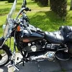 Walter Harley - @walter.harley - Instagram